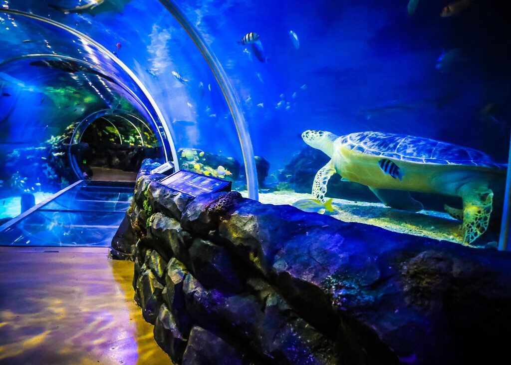 Sea Life Birmingham