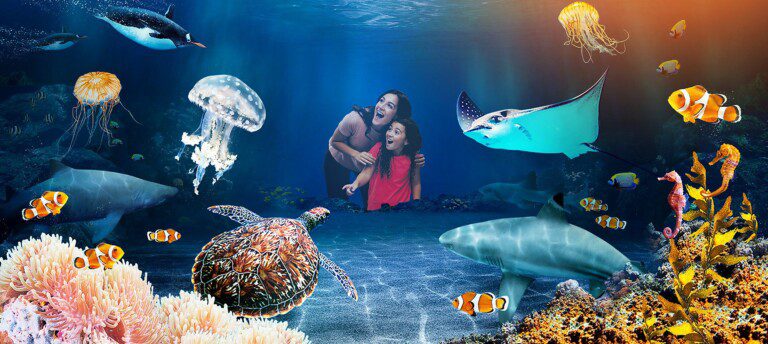 Birmingham Sea Life
