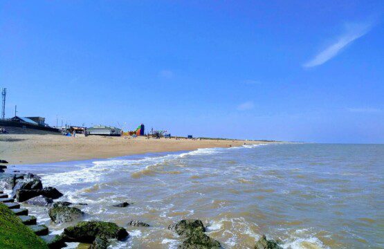 41cf5b3b 03b8 44d6 a199 995f7941bf37.jpg